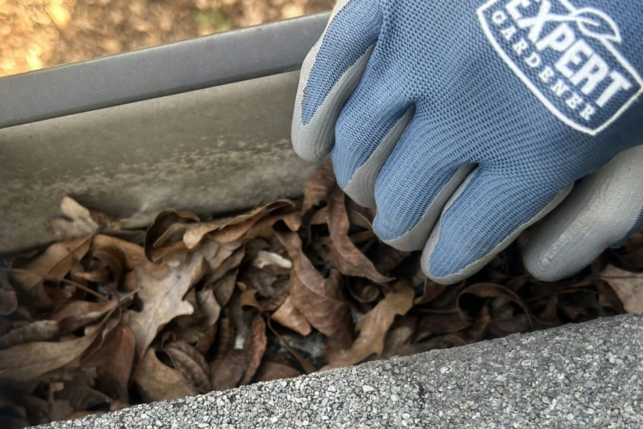 Gutter Cleaning Poquoson