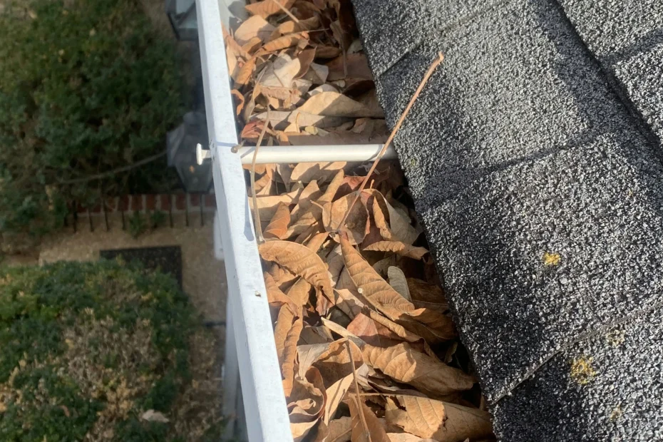 Gutter Cleaning Poquoson